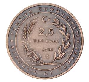 2,5 лиры 2019 года Турция — 100 лет Дипломатическим отношениям Азербайджана и Турции — Фото №2
