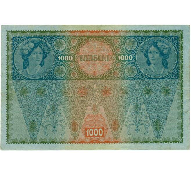Банкнота 1000 крон 1919 года Австрия (Надпечатка на 1000 крон 1902 года) (Артикул: B2-13518) — Фото №2