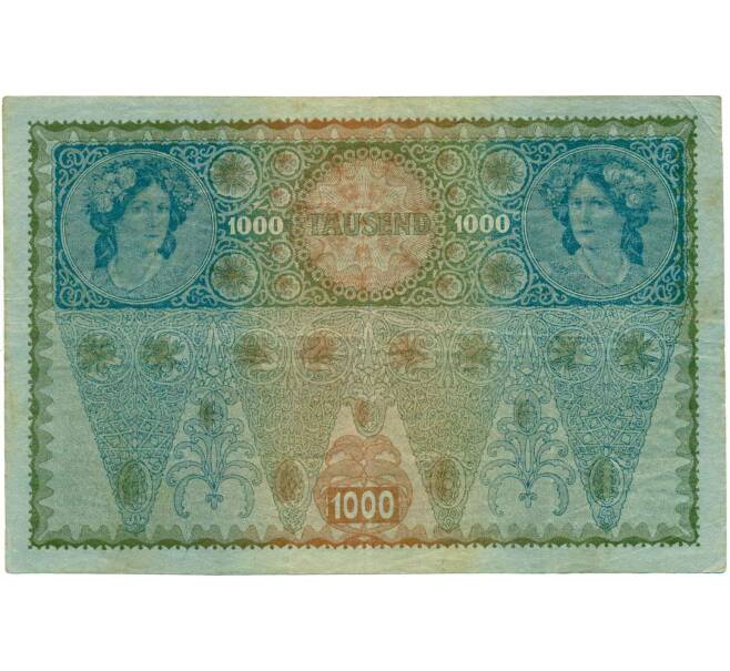 Банкнота 1000 крон 1919 года Австрия (Надпечатка на 1000 крон 1902 года) (Артикул: B2-13519) — Фото №2