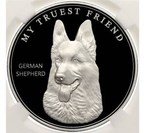 1000 франков 2025 года Камерун «Мой самый верный друг — немецкая овчарка» в слабе ННР (PF70) — Фото №1