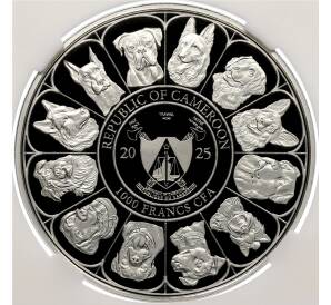 1000 франков 2025 года Камерун «Мой самый верный друг — немецкая овчарка» в слабе ННР (PF70) — Фото №2