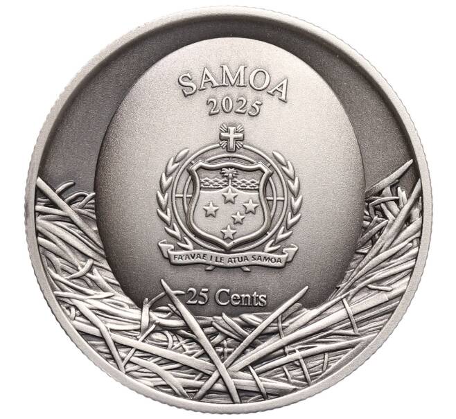 Монета 25 центов 2025 года Самоа «Дупло дерева — Короткоухая сова (Болотная сова)» (Артикул: M2-88751) — Фото №2
