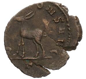 Антониниан 260-268 года Римская Империя — Галлиен — Фото №2