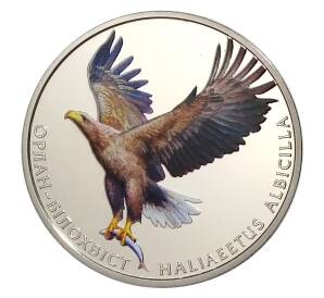 2 гривны 2019 года Украина — Орлан-белохвост в подарочном блистере — Фото №1