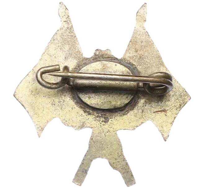 Знак патриотический 1933 года Германия «Немецкого гимнастического союза» (Артикул: K12-65763) — Фото №2