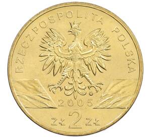 2 злотых 2005 года Польша «Всемирная природа — Филин» — Фото №2