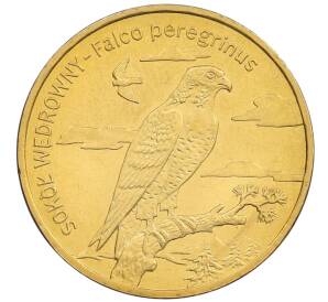 2 злотых 2008 года Польша «Всемирная природа — Сапсан» — Фото №1
