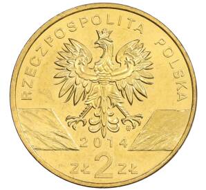 2 злотых 2014 года Польша «Всемирная природа — Польский коник» — Фото №2