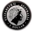 Монета 1 доллар 1999 года Австралия «Австралийская кукабара» (Артикул: T11-22018) — Фото №2