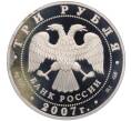 Монета 3 рубля 2007 года СПМД «Памятники архитектуры России — Невьянская наклонная башня в Свердловской области» (Артикул: K12-66081) — Фото №2