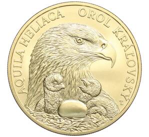 5 евро 2025 года Словакия «Фауна и флора Словакии — Могильник» — Фото №1