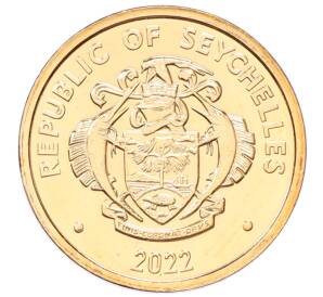 5 центов 2022 года Сейшелы — Фото №2