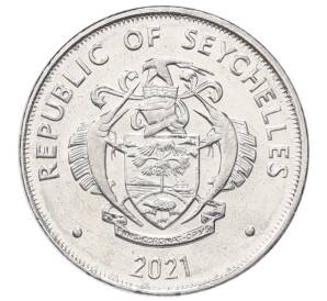 25 центов 2021 года Сейшелы — Фото №2