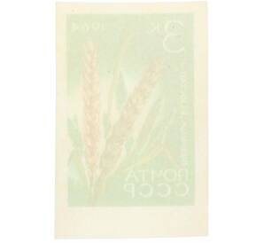 Почтовая марка 3 копейки 1964 года «Сельскохозяйственные культуры — Пшеница» (Без перфорации) — Фото №2