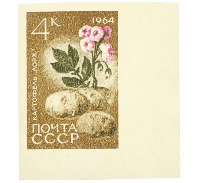 Почтовая марка 4 копейки 1964 года «Сельскохозяйственные культуры — Картофель» (Без перфорации) (Артикул: P1-0485) — Фото №1