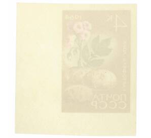 Почтовая марка 4 копейки 1964 года «Сельскохозяйственные культуры — Картофель» (Без перфорации) — Фото №2