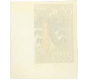 Почтовая марка 6 копеек 1964 года «Сельскохозяйственные культуры — Горох» (Без перфорации) — Фото №2