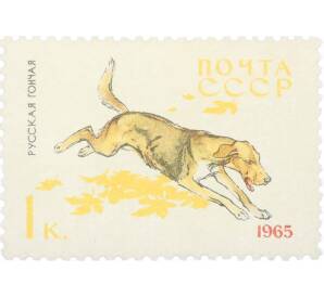 Почтовая марка 1 копейка 1965 года «Служебные и охотничьи собаки — Русская гончая» — Фото №1