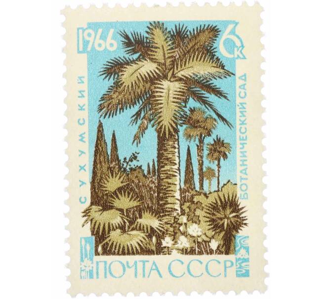 Почтовая марка 6 копеек 1966 года «Сухумский ботанический сад — Слоновая пальма» (Артикул: P1-0806) — Фото №1