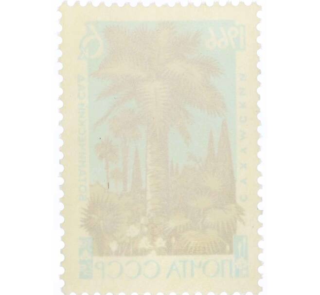 Почтовая марка 6 копеек 1966 года «Сухумский ботанический сад — Слоновая пальма» (Артикул: P1-0806) — Фото №2