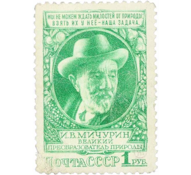 Почтовая марка 1 рубль 1949 года «Биолог-селекционер Мичурин» (Артикул: P1-1224) — Фото №1