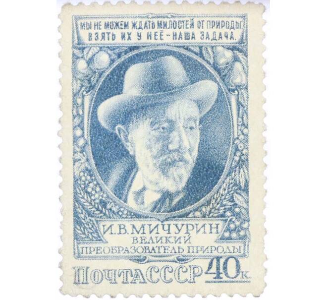 Почтовая марка 40 копеек 1949 года «Биолог-селекционер Мичурин» (Артикул: P1-1225) — Фото №1
