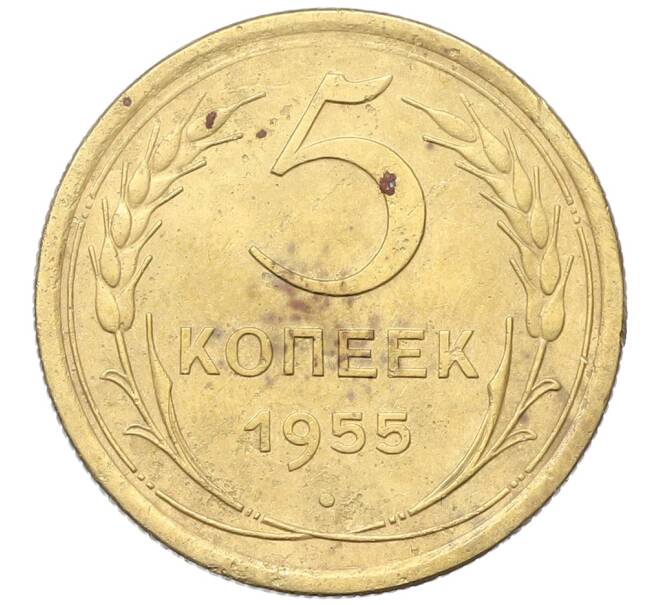 Монета 5 копеек 1955 года (Артикул: K12-68607) — Фото №1