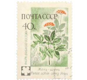 Почтовая марка 40 копеек 1960 года «Флора СССР — Жень-шень» — Фото №1