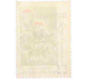 Почтовая марка 40 копеек 1960 года «Флора СССР — Жень-шень» — Фото №2