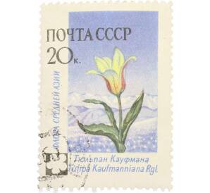 Почтовая марка 20 копеек 1960 года «Флора СССР — Тюльпан Кауфмана» — Фото №1