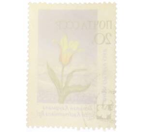 Почтовая марка 20 копеек 1960 года «Флора СССР — Тюльпан Кауфмана» — Фото №2