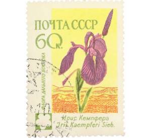 Почтовая марка 60 копеек 1960 года «Флора СССР — Ирис Кемпфера» — Фото №1
