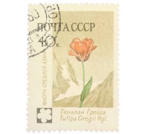 Почтовая марка 40 копеек 1960 года «Флора СССР — Тюльпан Грейга» — Фото №1