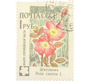 Почтовая марка 1 рубль 1960 года «Флора СССР — Шиповник» — Фото №1