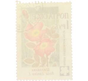 Почтовая марка 1 рубль 1960 года «Флора СССР — Шиповник» — Фото №2