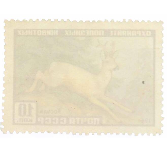 Почтовая марка 10 копеек 1961 года «Фауна СССР — Косуля» (Артикул: P1-1649) — Фото №2