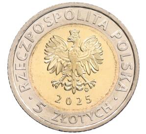 5 злотых 2025 года Польша «Открой для себя Польшу — Тыкоцин» — Фото №2