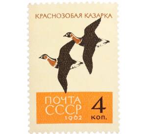 Почтовая марка 4 копейки 1962 года «Птицы — Краснозобые казарки» — Фото №1