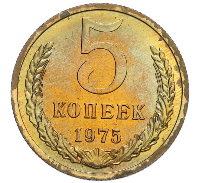 Монета 5 копеек 1975 года (Артикул: K10-0416) — Фото №1