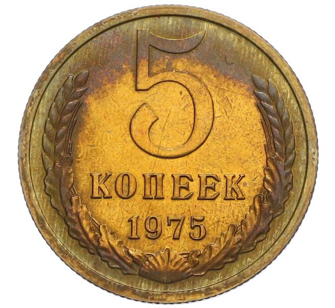 Монета 5 копеек 1975 года (Артикул: K10-0420) — Фото №1
