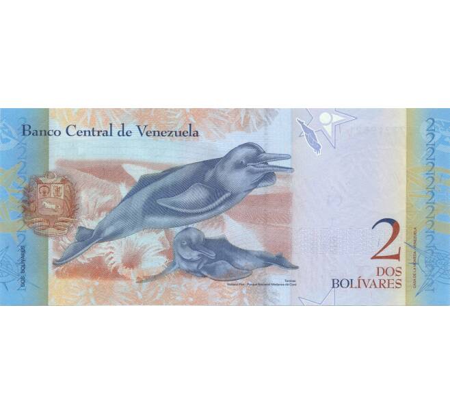 Банкнота 2 боливара 2013 года Венесуэла (Артикул: B2-4498) — Фото №2
