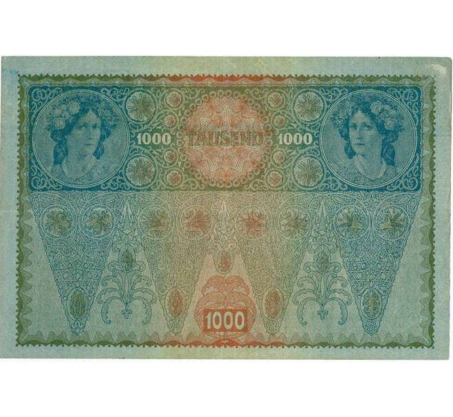 Банкнота 1000 крон 1919 года Австрия (Надпечатка на 1000 крон 1902 года) (Артикул: B2-13572) — Фото №2