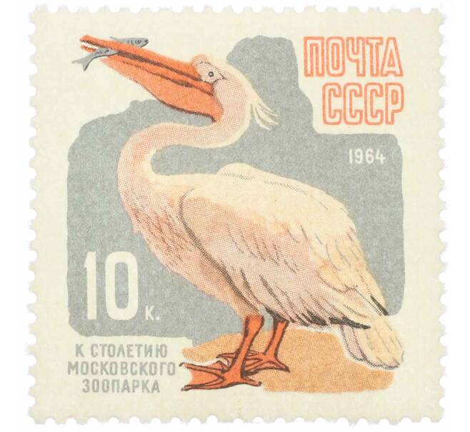 Почтовая марка 10 копеек 1964 года «100 лет Московскому зоопарку — Пеликан» (Артикул: P1-2107) — Фото №1