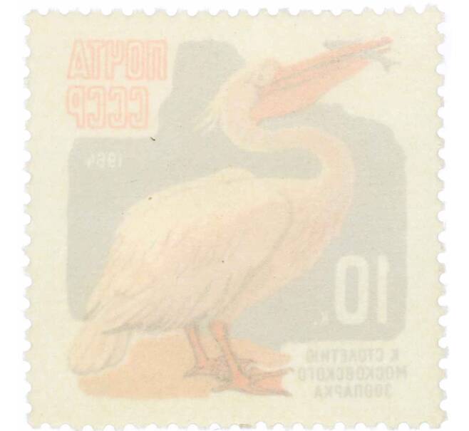 Почтовая марка 10 копеек 1964 года «100 лет Московскому зоопарку — Пеликан» (Артикул: P1-2107) — Фото №2