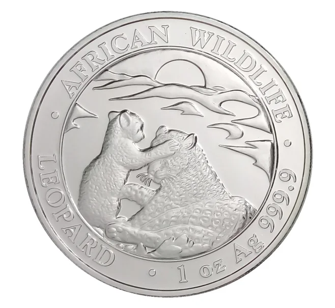 Монета 100 шиллингов 2019 года Сомали «Фауна Африки — Леопард с детенышем» (Артикул M2-32585)