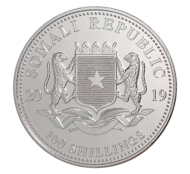 Монета 100 шиллингов 2019 года Сомали «Фауна Африки — Леопард с детенышем» (Артикул M2-32585)