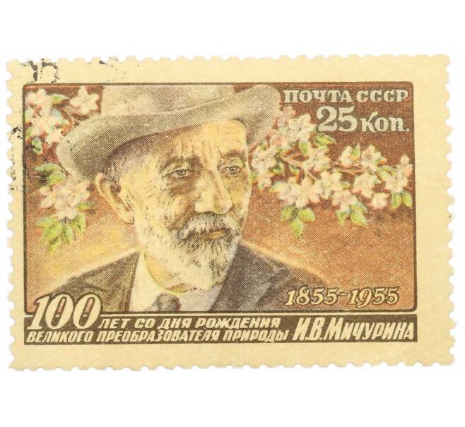 Почтовая марка 25 копеек 1955 года «100 лет со дня рождения Мичурина» (Артикул: P1-2357) — Фото №1