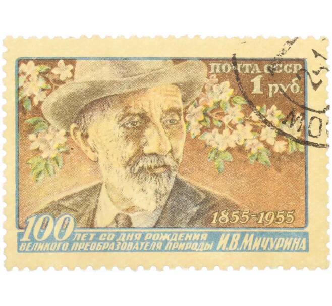 Почтовая марка 1 рубль 1955 года «100 лет со дня рождения Мичурина» (Артикул: P1-2358) — Фото №1