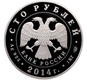 100 рублей 2014 года СПМД «Дзюдо» — Фото №2