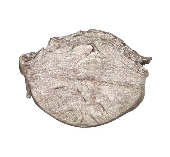 Монета Акче Крымское ханство (Артикул: K1-6710) — Фото №1